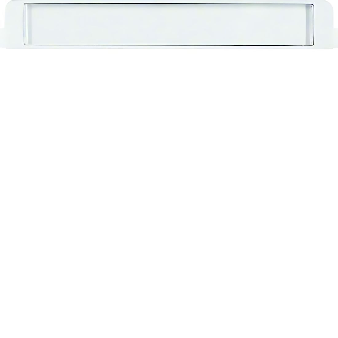 Berker Beschriftungsfeld 19050069