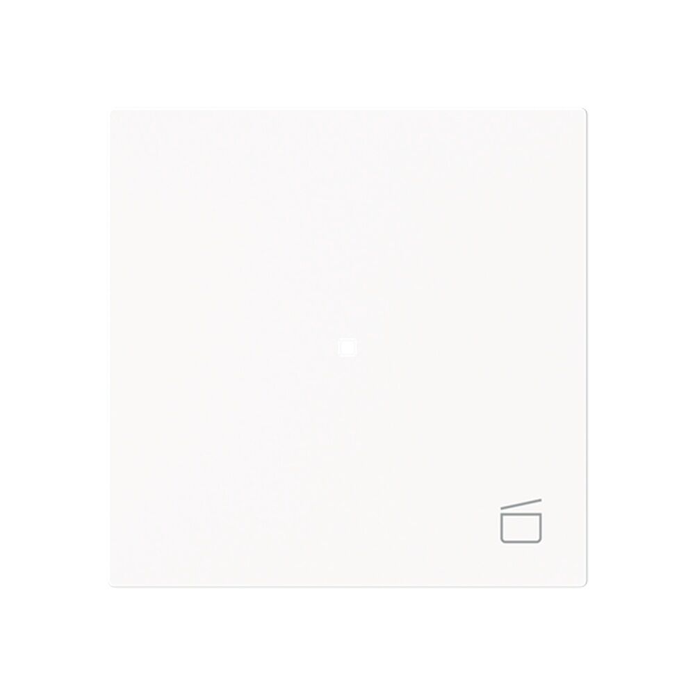 Busch-Jaeger Wippe 6233-10-44M Typ 2CKA006220A0941 