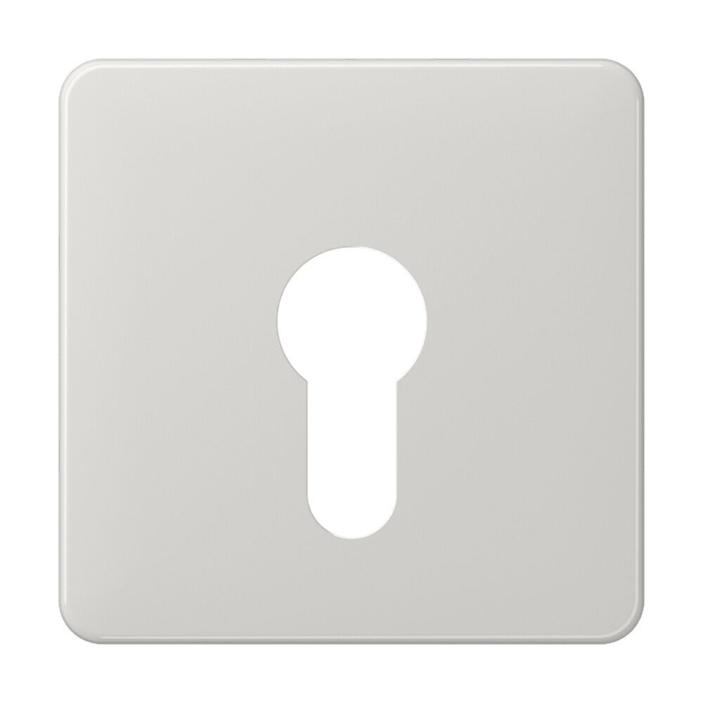 Jung Abdeckung Schlüsselschalter CD 525 LG