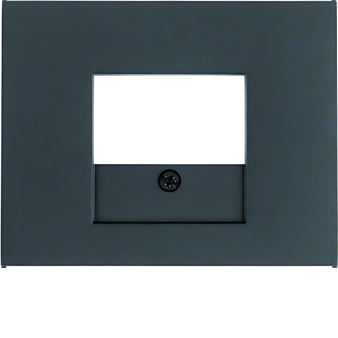 Berker Zentralstück 10357006