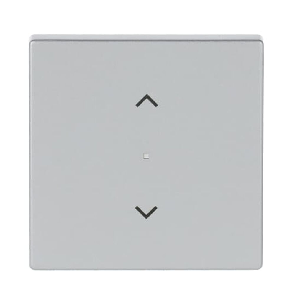 Busch-Jaeger Wippe 6232-10-83 Nr. 2CKA006220A0039