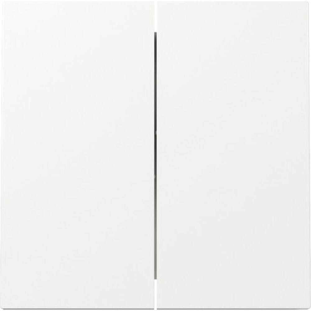 Gira Wippe 2fach 329570