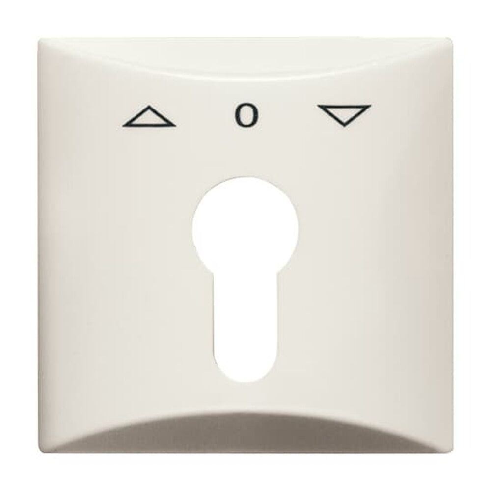 Busch-Jaeger Zentralscheibe 2155 PZ-32 Nr. 2CKA001710A2231