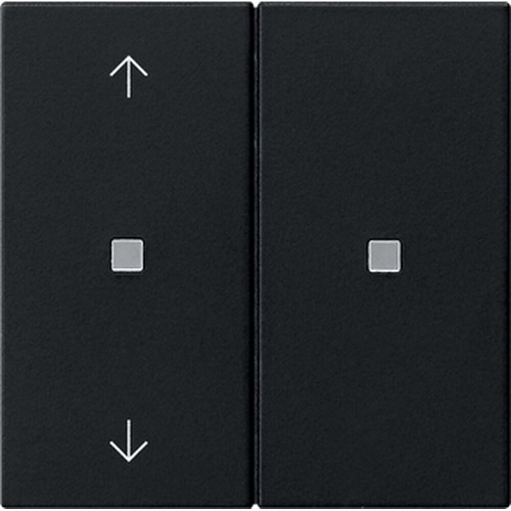 Gira Bedienaufsatz 2fach RF 5108005