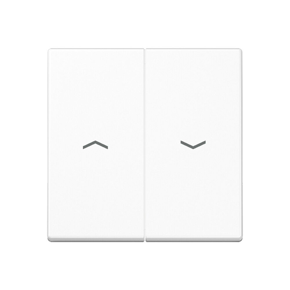 Jung Wippe A 595 BF P WW 