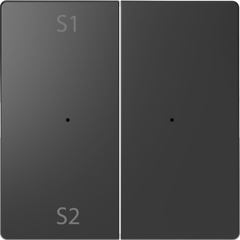 Merten Wippe MEG5226-6034