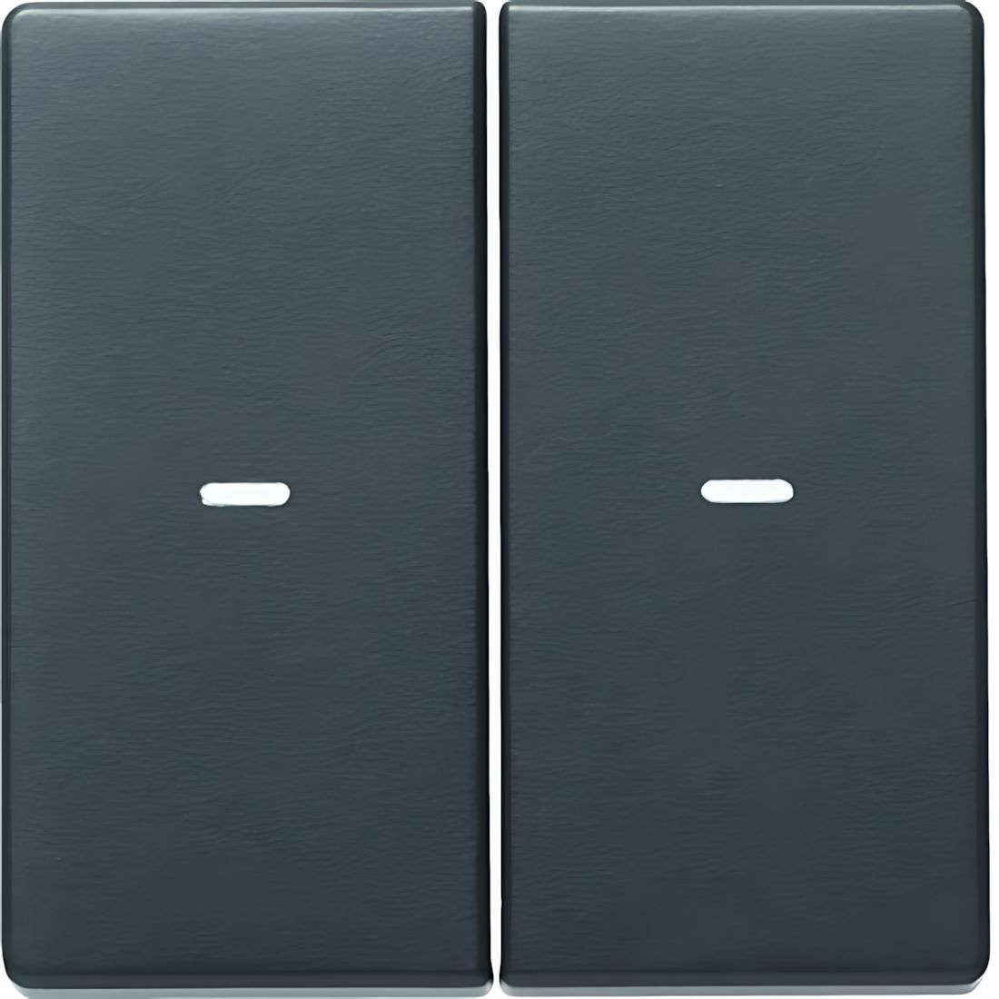 Berker Wippe 80960326 