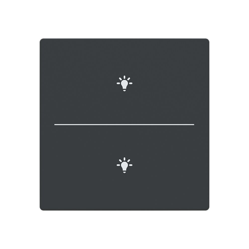 Busch-Jaeger Abdeckung LFBT/A.2.63.11-81 Typ 2CKA006199A0215 