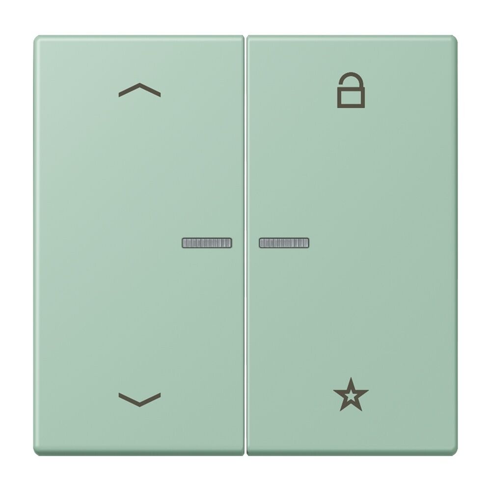 Jung Taster FMLC1701P217