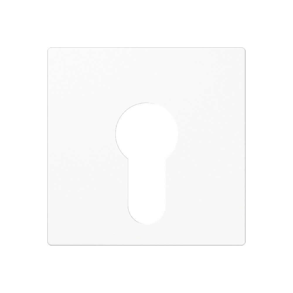 Jung Abdeckung Schlüsselschalter A 525 PL WW