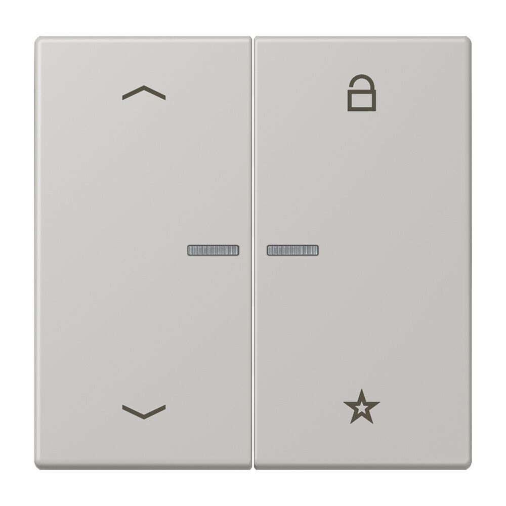 Jung Taster FMLC1701P205