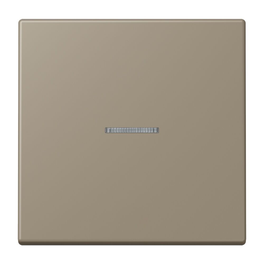 Jung JUNG HOME Taster BTLC17101242 