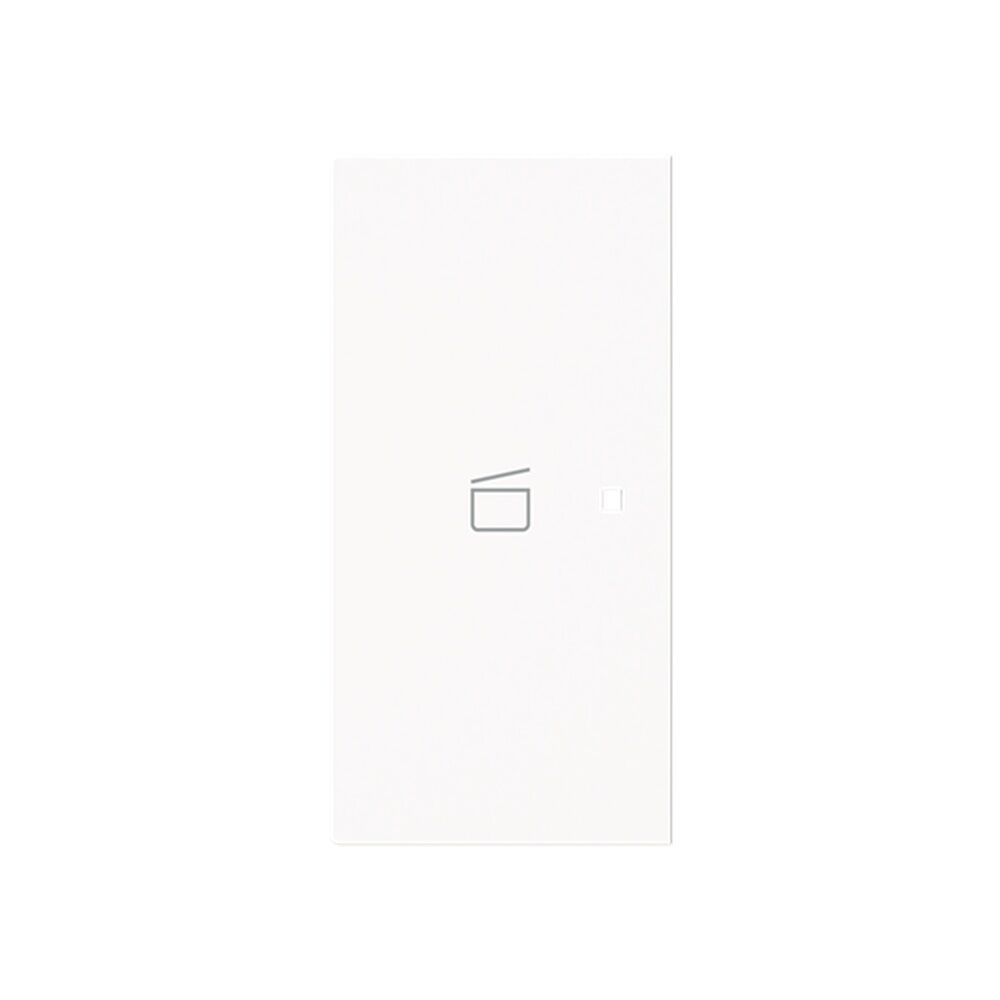 Busch-Jaeger Wippe 6233-21-44M Typ 2CKA006220A0969 