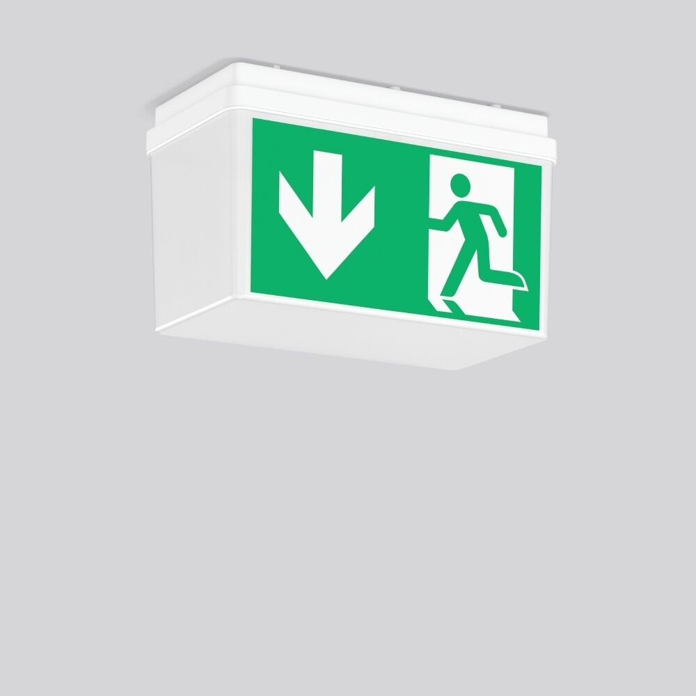 RZB Rettungsleuchte 672521.002.F1