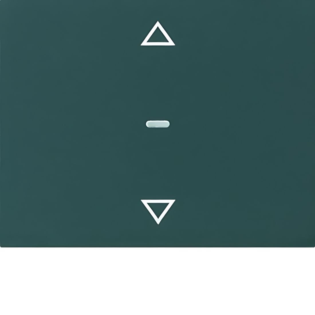 Berker Tastsensor Abdeckung 80961275