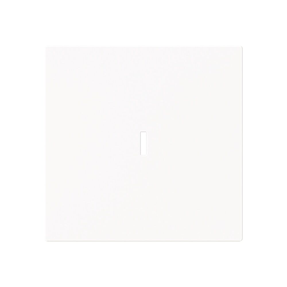 Busch-Jaeger Wippe 1789 N-44M Typ 2CKA001751A3362 