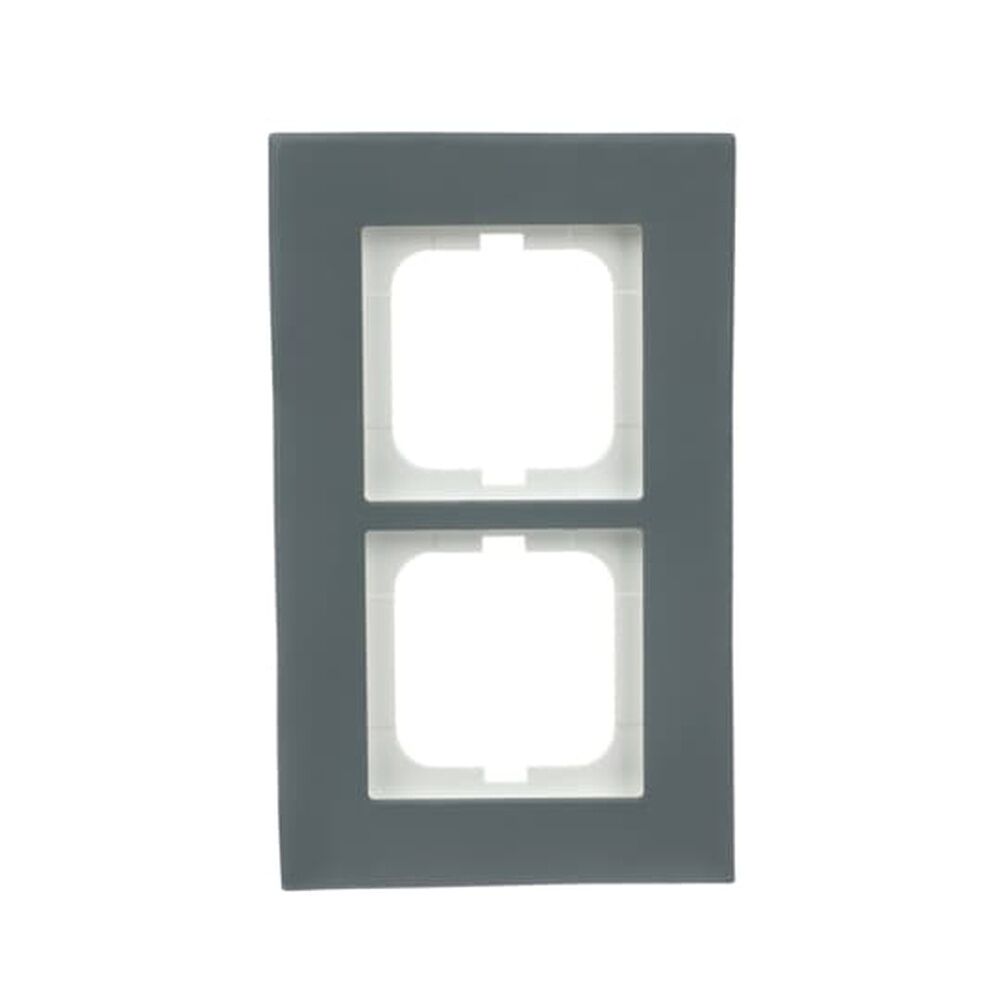 Busch-Jaeger Abdeckrahmen 2fach 1722-815 Nr. 2CKA001754A4821