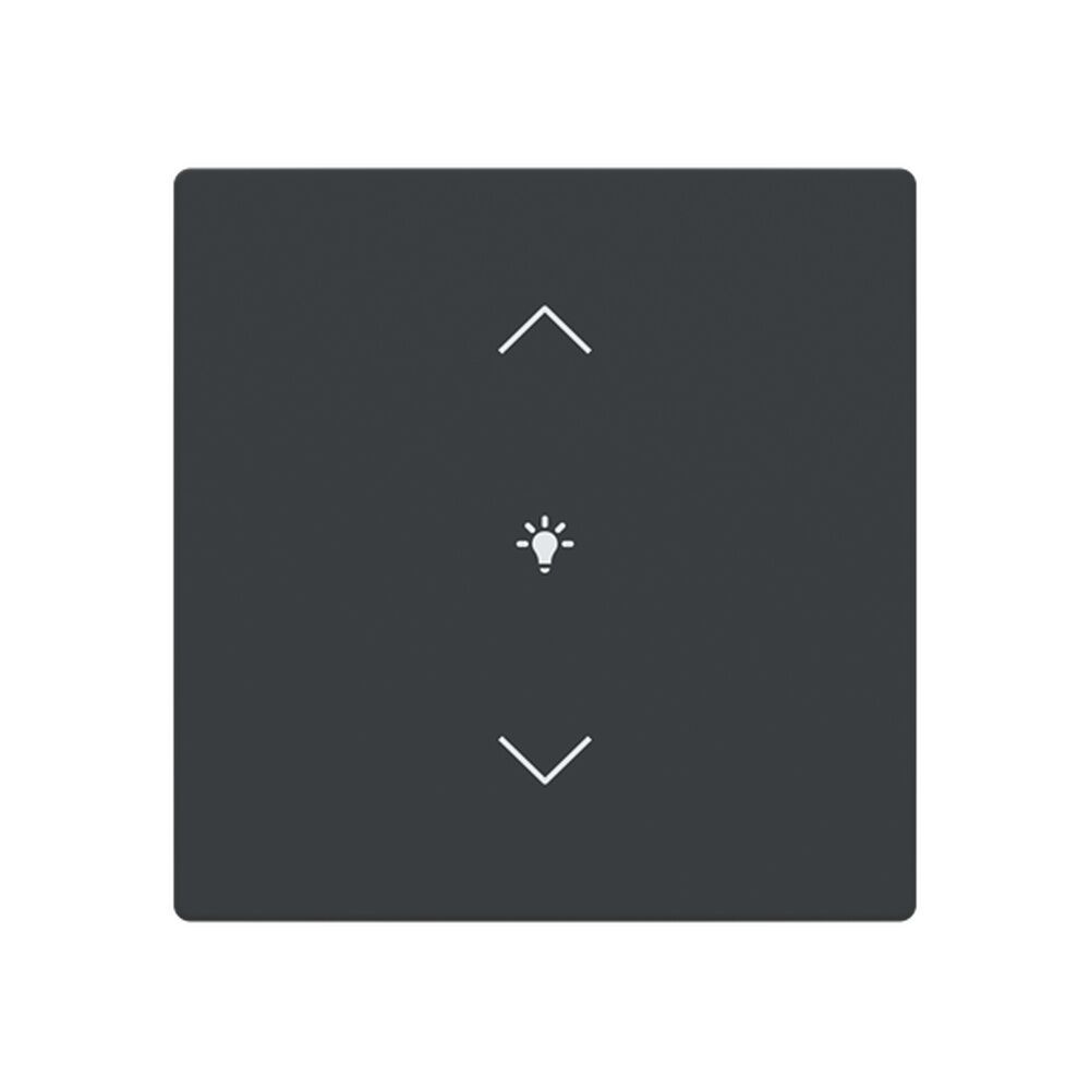 Busch-Jaeger Abdeckung LFDW/A.1.63.11-81 Typ 2CKA006199A0191