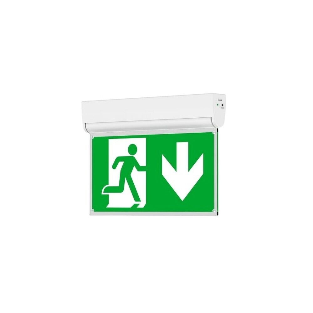 Dotlux LED Rettungsleuchte 5509-060360