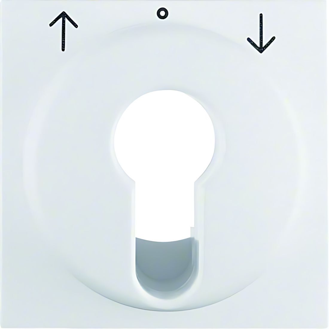 Berker Zentralstück 15061909