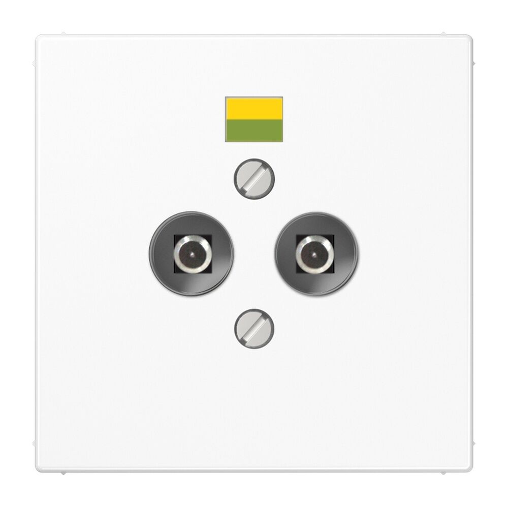 Jung Potentialausgleich Steckdose LS 965-2 WW