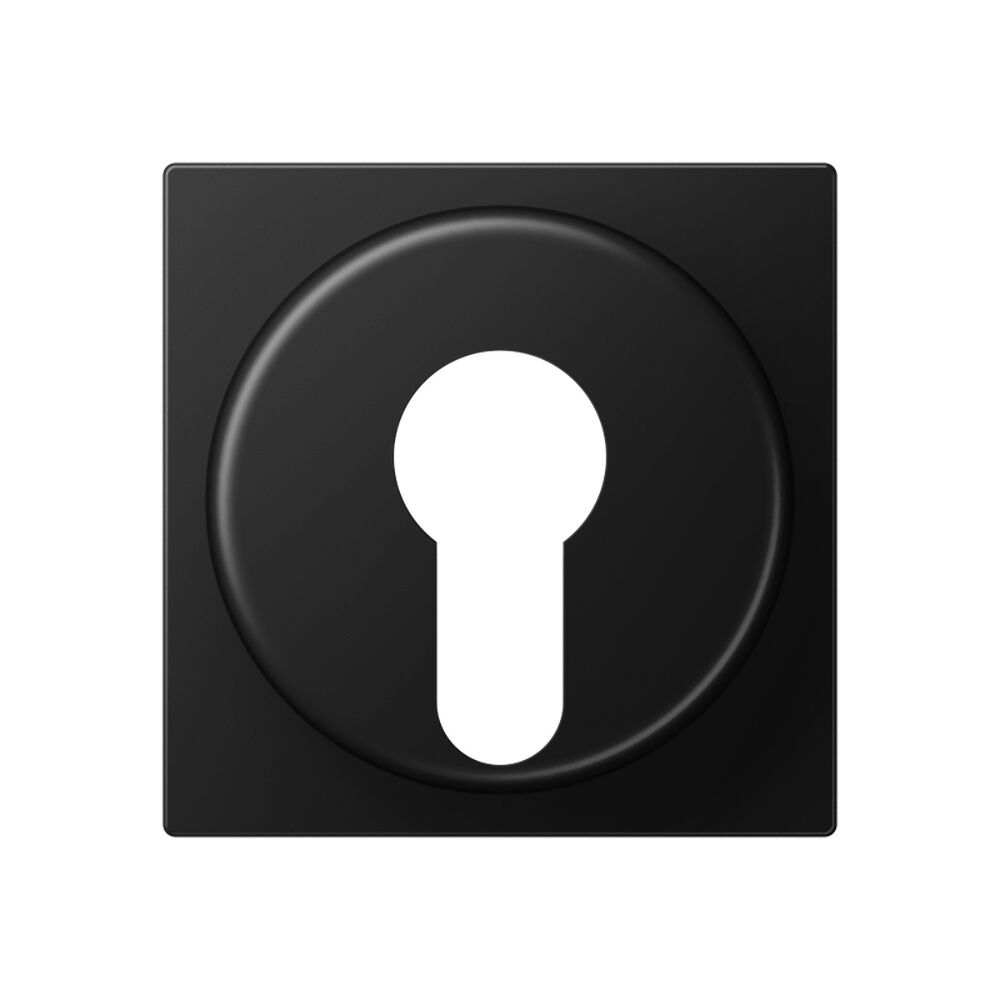 Jung Abdeckung Schlüsselschalter A528PLSWM