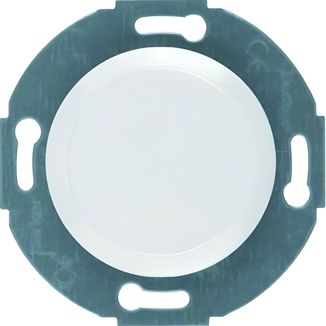 Berker Blindverschluss 100920