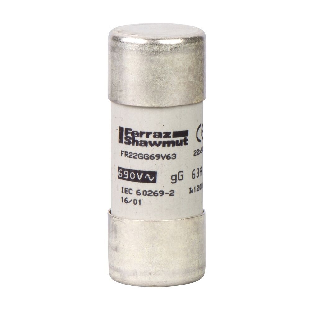 Schneider Electric Sicherung DF2FN20