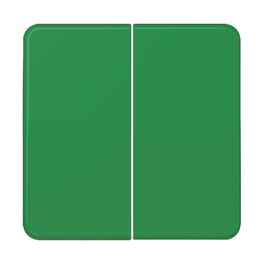 Jung Wippe 2fach CD595GN