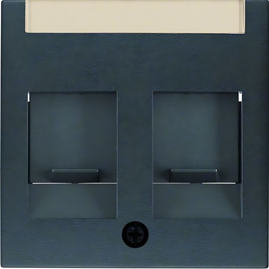 Berker Zentralstück 11811606