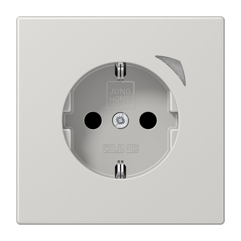 Jung JUNG HOME SCHUKO Steckdose BTLS1521SLG