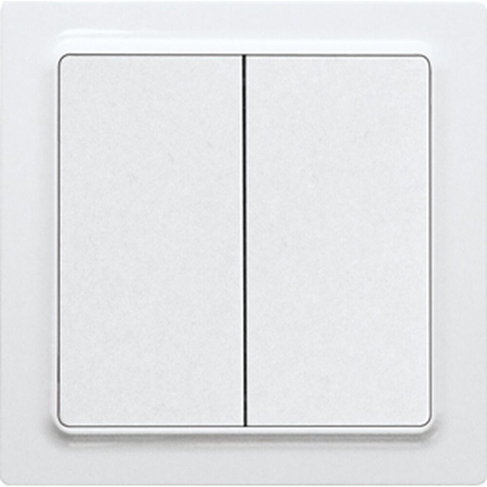 ELTAKO Funk 2Kanal Taster 30055717 Typ F2T55EH-wg