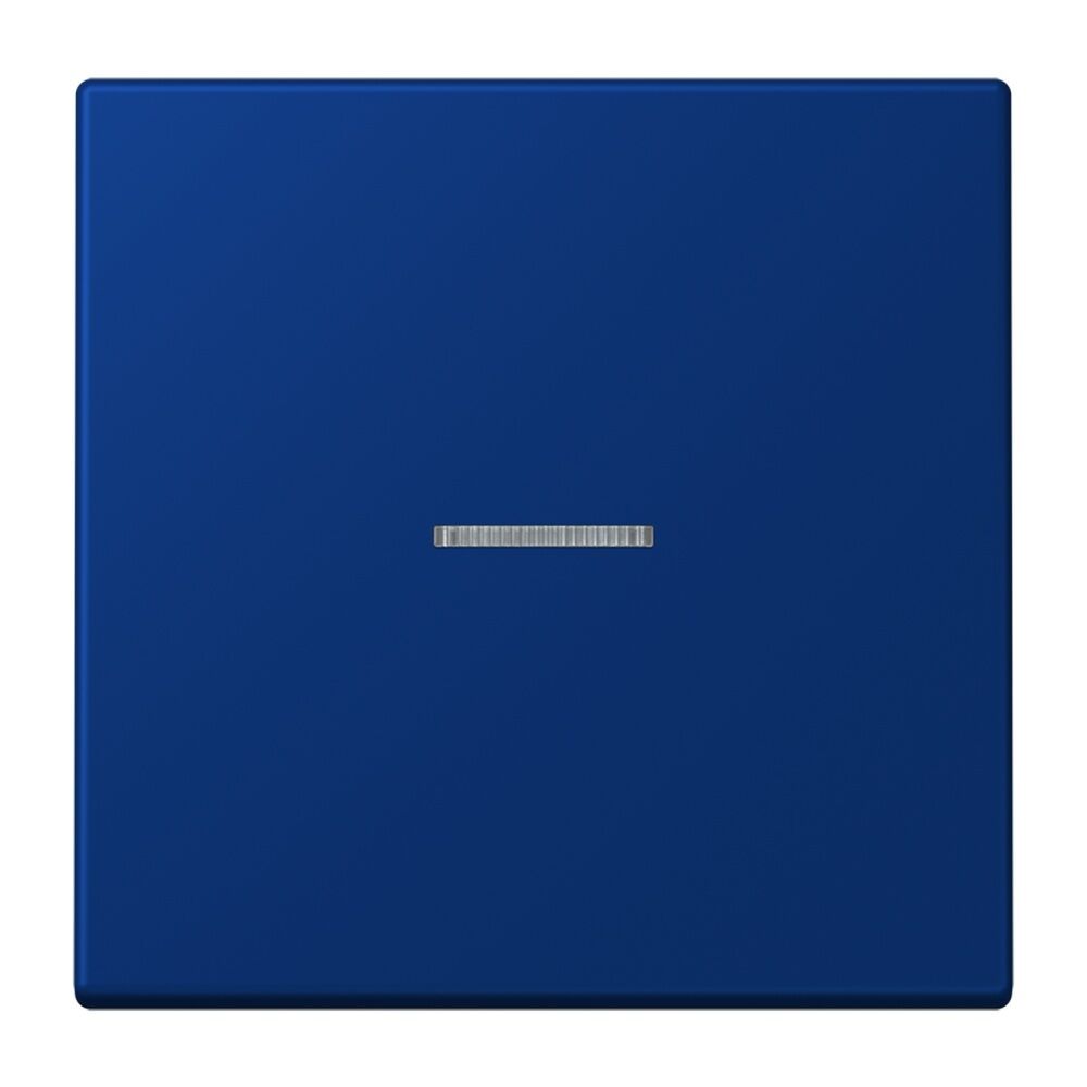 Jung JUNG HOME Taster BTLC17101261 