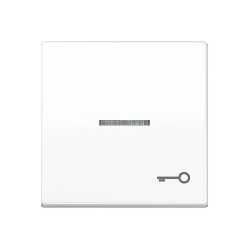 Jung Wippe 1fach SPAS591KO5TWW