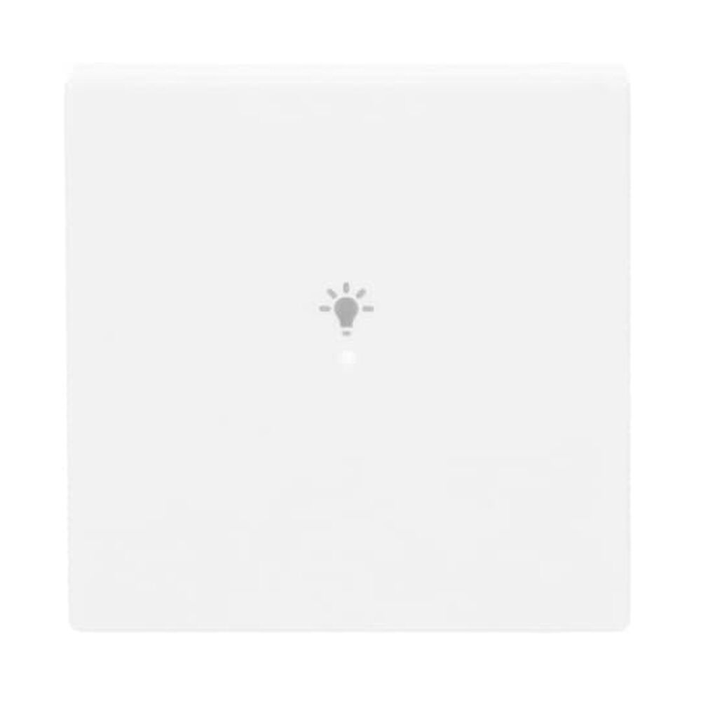 Busch-Jaeger Wippe 6231-10-84 Nr. 2CKA006220A0037