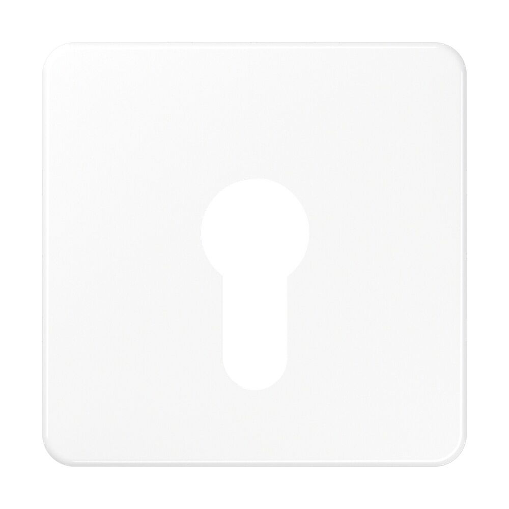 Jung Abdeckung Schlüsselschalter CD 525 WW