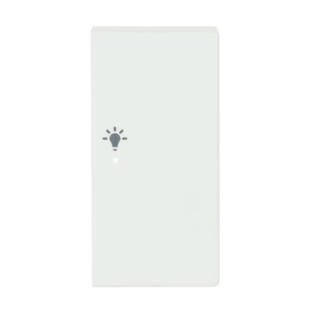 Busch-Jaeger Wippe 6231-22-884 Nr. 2CKA006220A0492