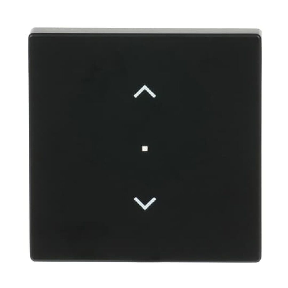 Busch-Jaeger Wippe 6232-10-885 Nr. 2CKA006220A0500