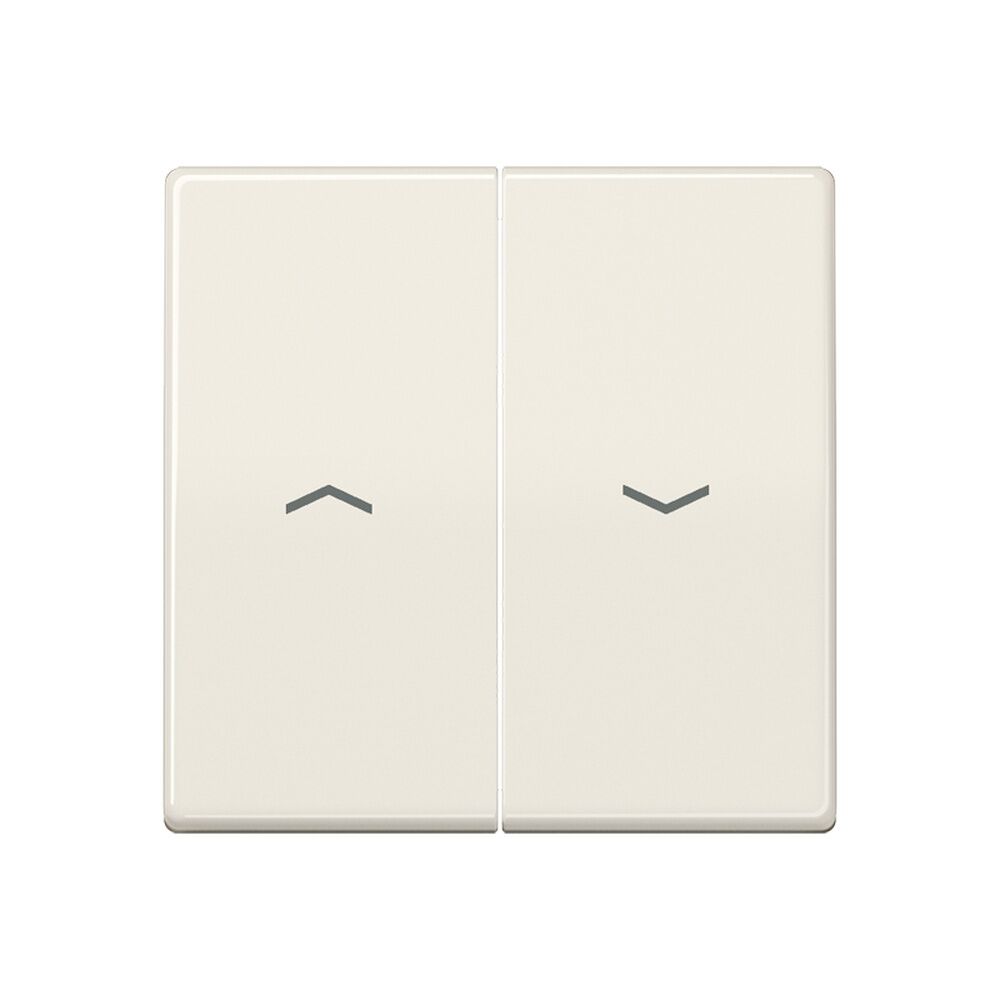 Jung Wippe AS 591-5 P