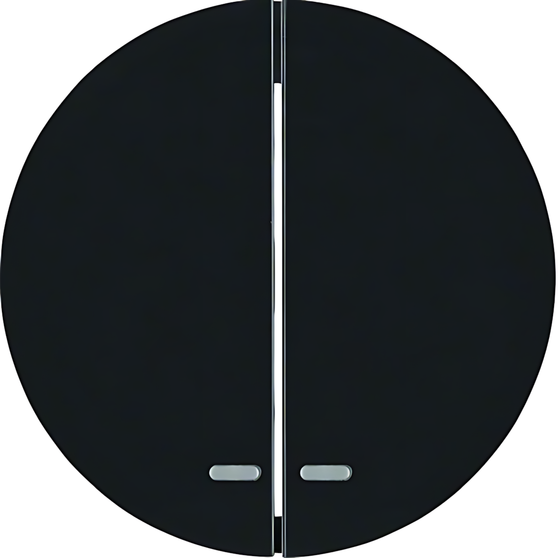 Berker Wippen 16272045