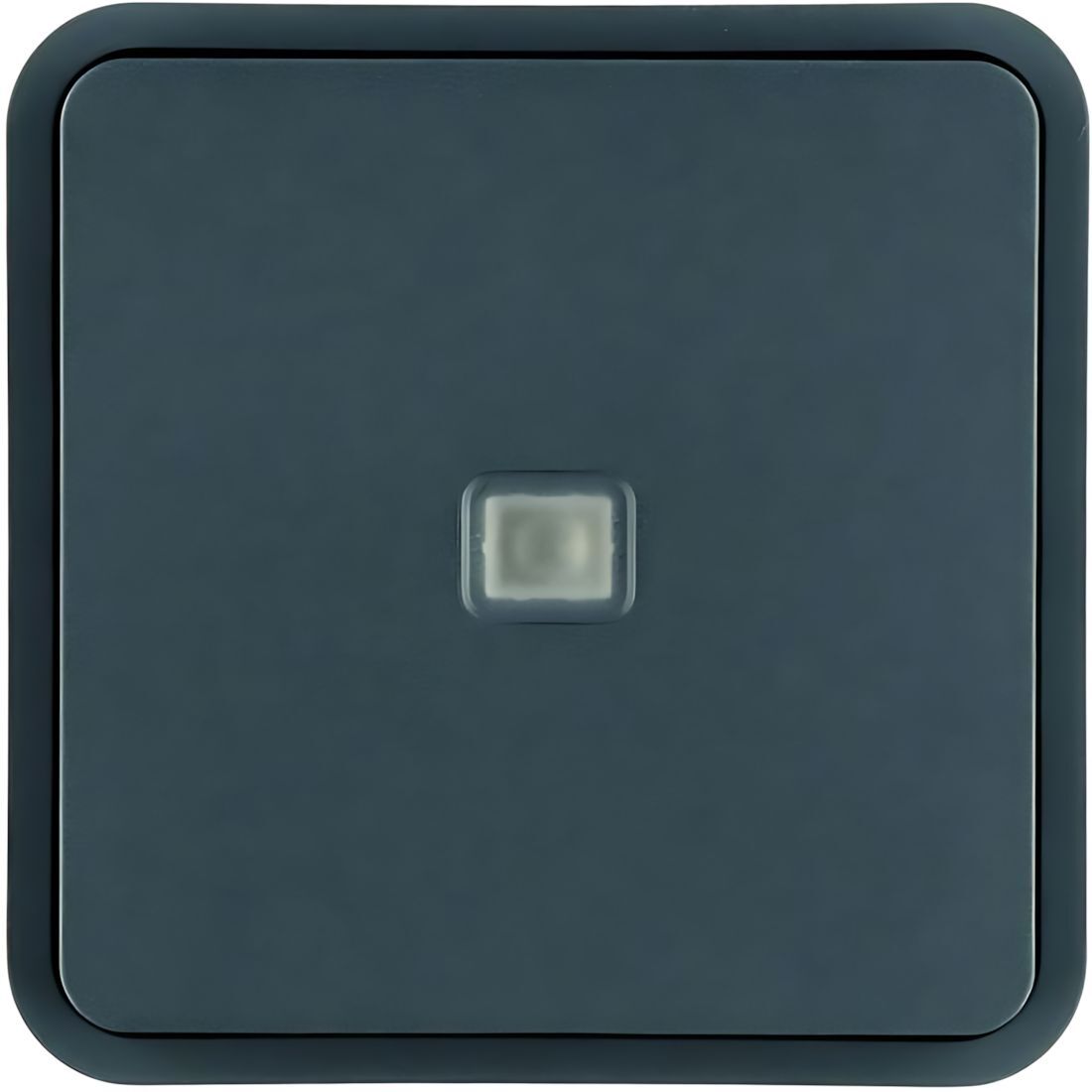 Berker Wippe 30863545