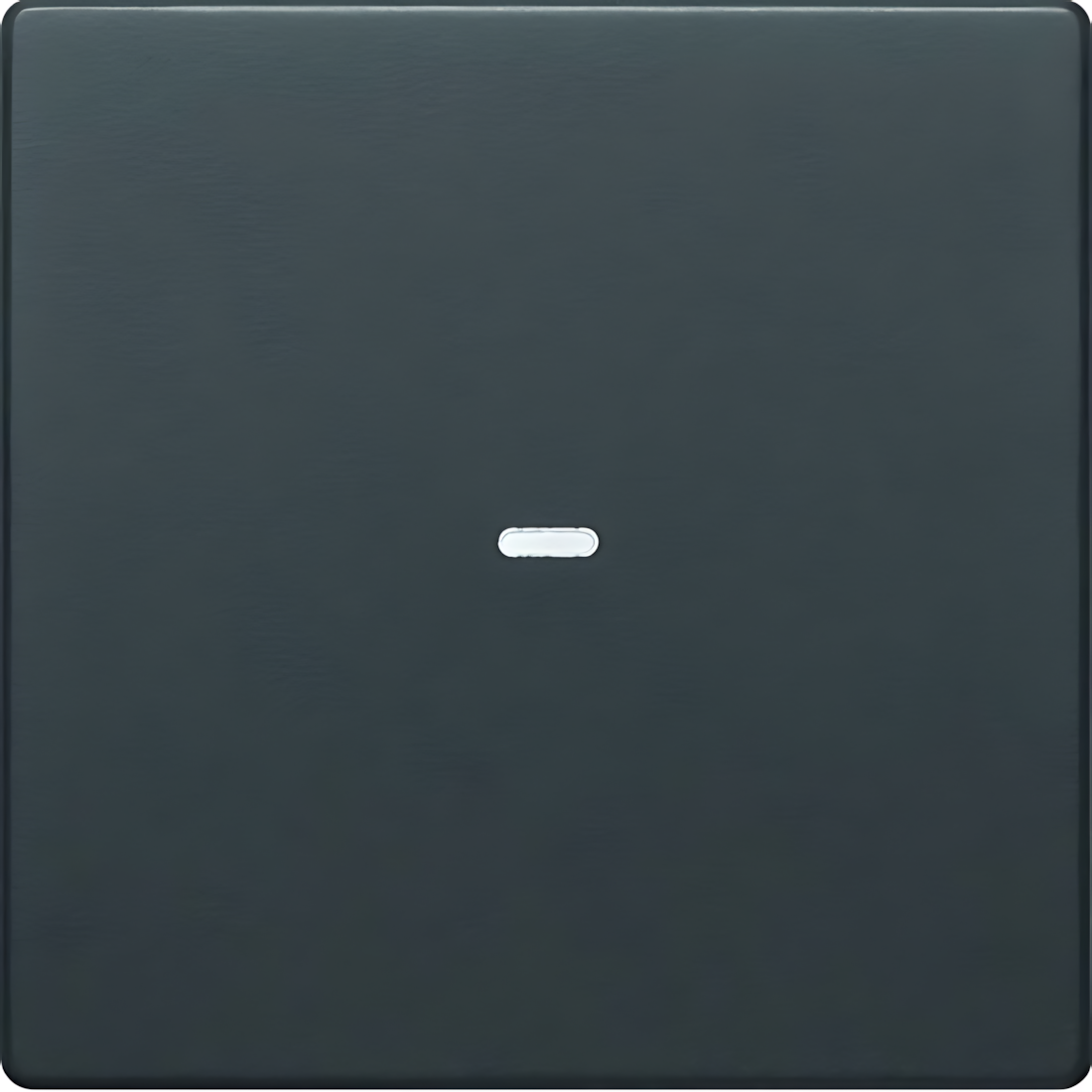 Berker Abdeckung 80960226