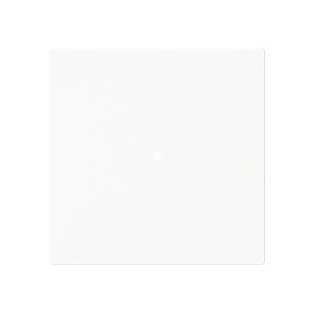 Busch-Jaeger Wippe 6230-10-44M Typ 2CKA006220A0925