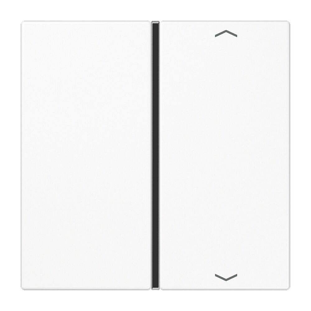 Jung Taste 1fach LS 401 TSAP WW