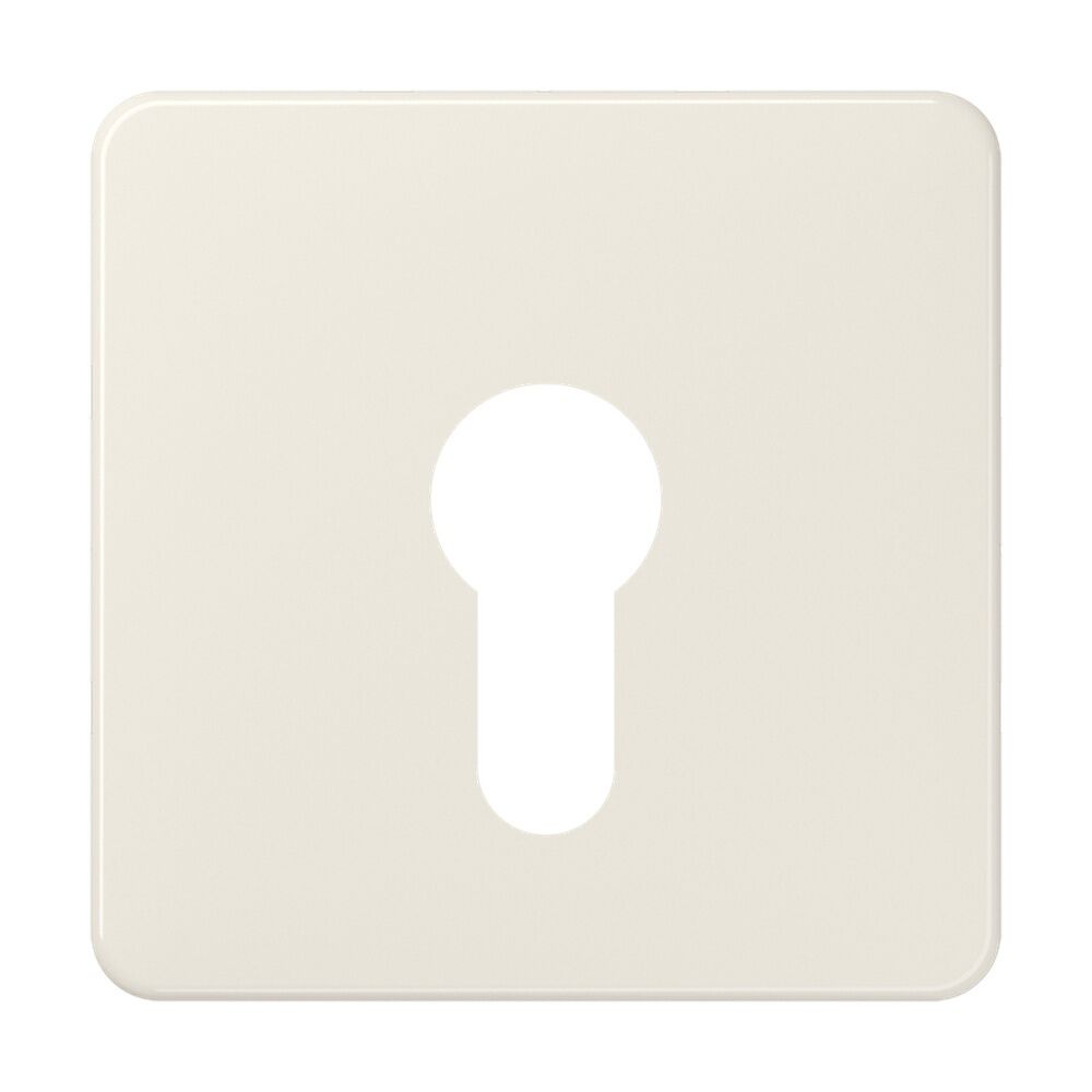 Jung Abdeckung Schlüsselschalter 525