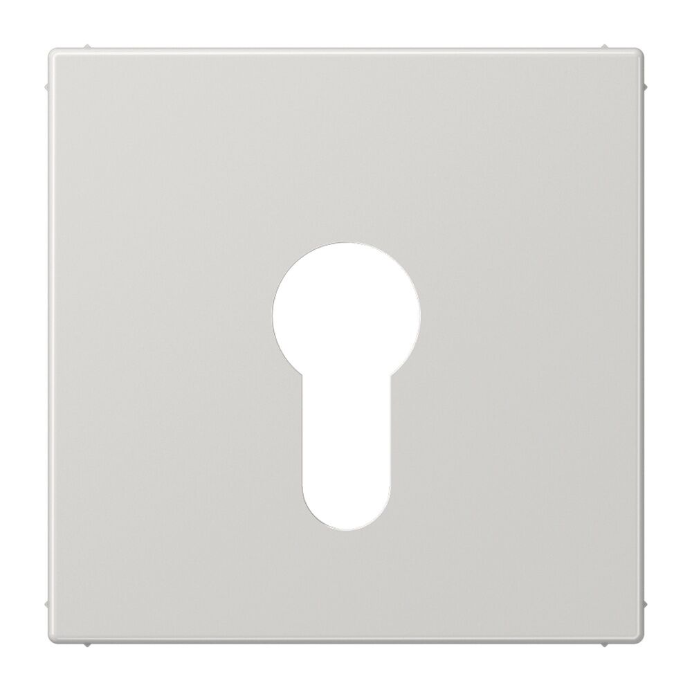 Jung Abdeckung Schlüsselschalter LS 925 LG