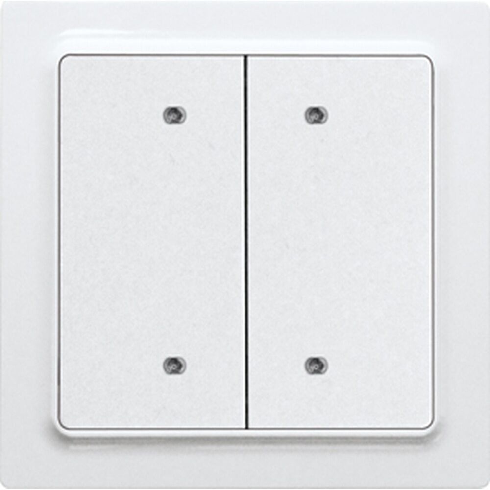 ELTAKO Bus Taster 30055652 Typ B4T55E-pm 