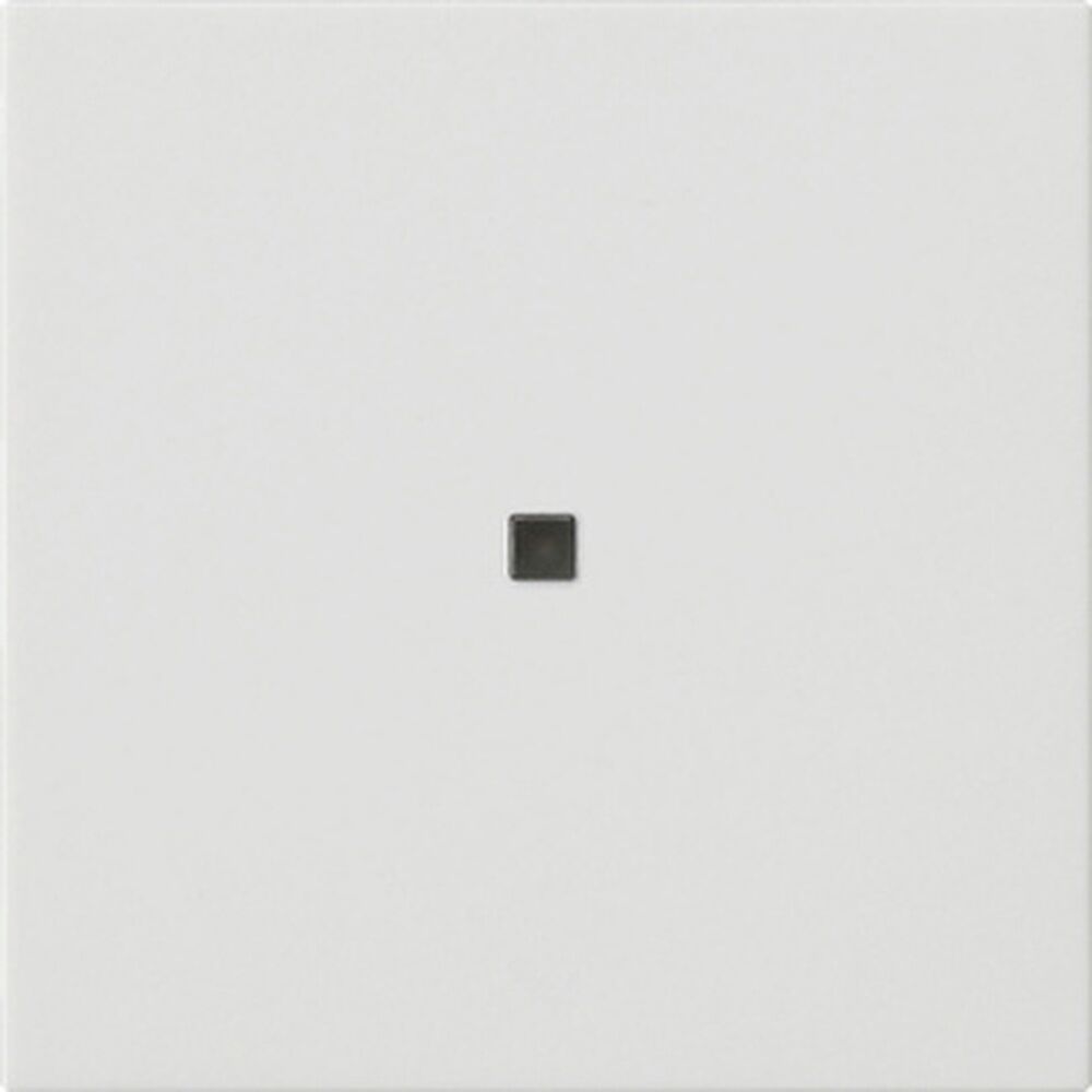 Gira Wippe 1fach 537127