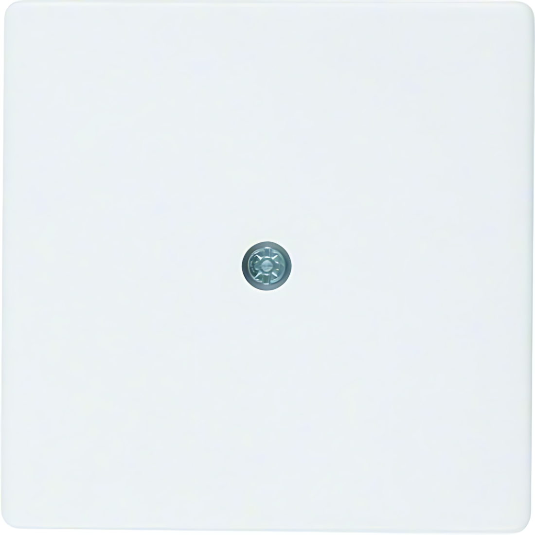 Berker Zentralstück 10196089 