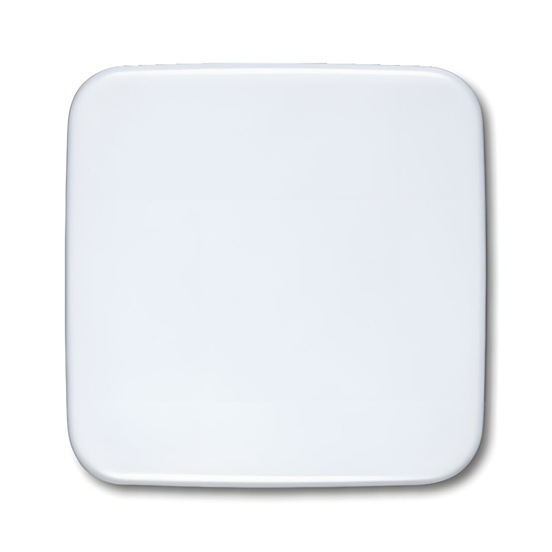 Busch-Jaeger Wippe 2546-214 Nr. 2CKA001434A0554 